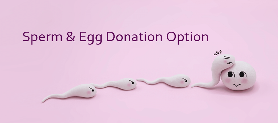 egg donation in georgia